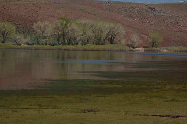 Lake Topaz